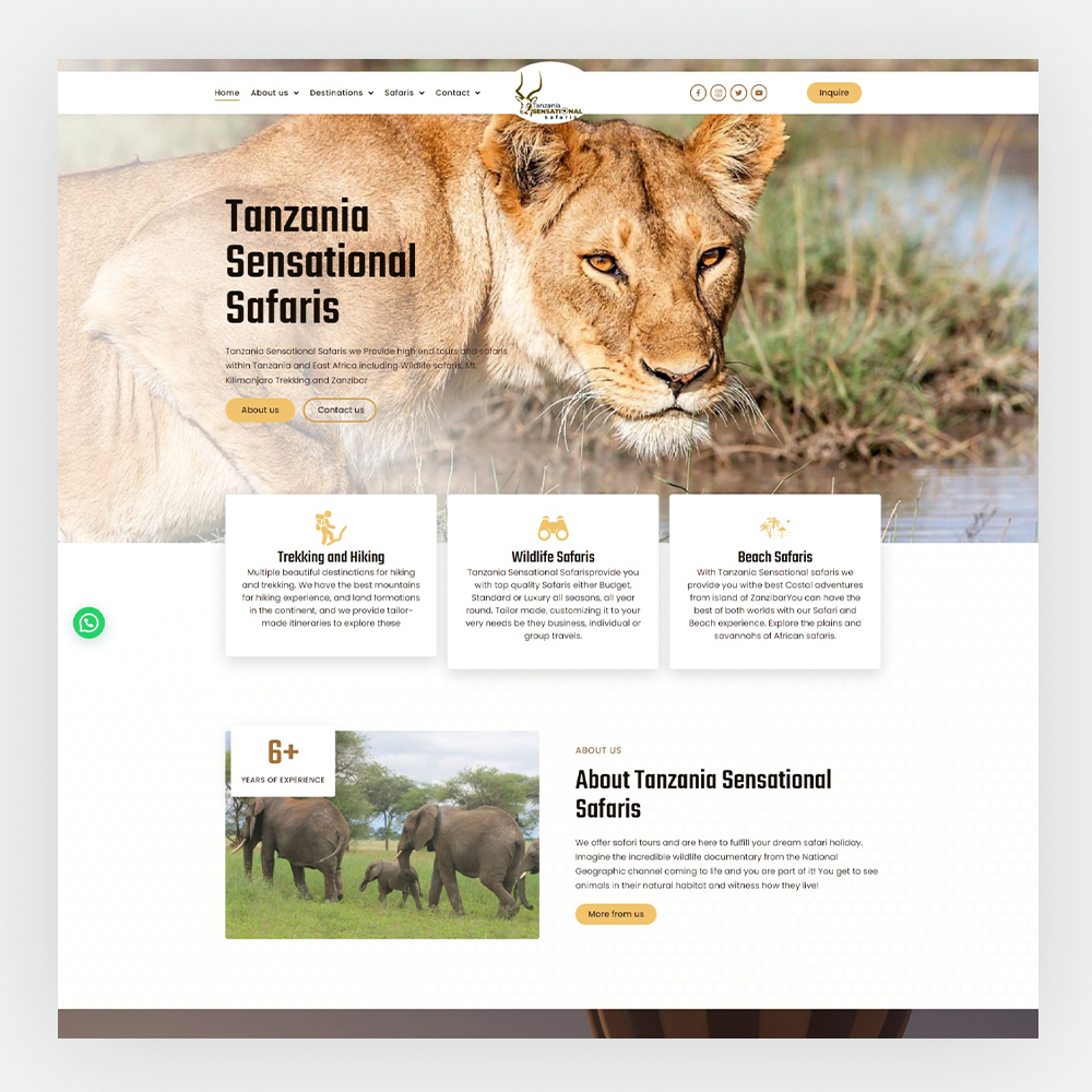 Ts safaris